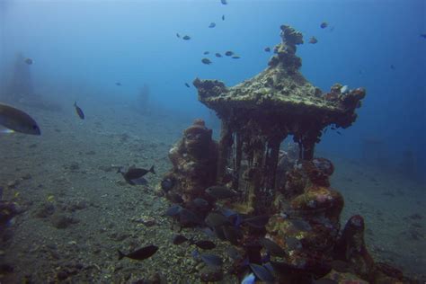 Artificial Coral Reefs - Types, Reasons, Pros and Cons - More Fun Diving