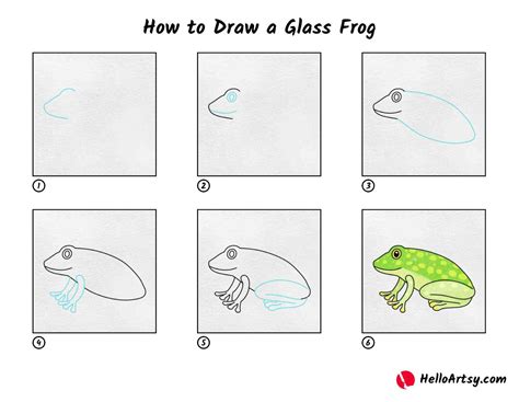 How to Draw a Glass Frog - HelloArtsy