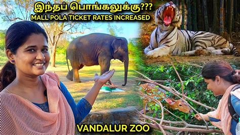 VANDALUR ZOO 2022| Arignar Anna Zoological park, vandalur, chennai zoo - YouTube