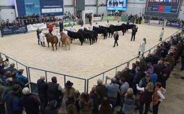 Queen of Hearts takes the crown at Agri Expo | Farm News | Farmers Guardian