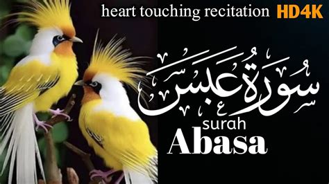 Surah Abasa Full Surah AbasaRecitation with HD Arabic Text soft ...