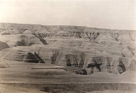 1903 Eocene of Wyoming