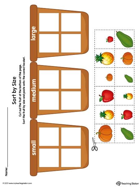 Sorting By Size Worksheet