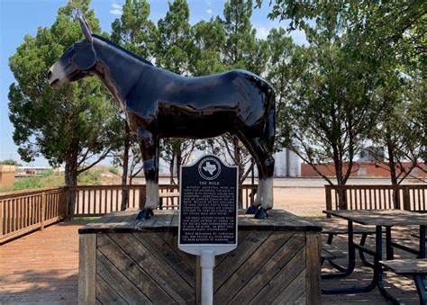 The Official Website of the City of Muleshoe, Texas - General Information