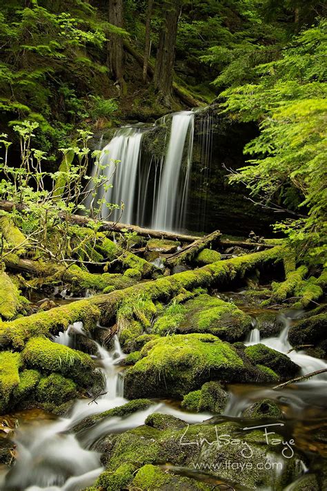 Fern Falls, Idaho Panhandle National Forests [OC] [1280x1920] : r/EarthPorn