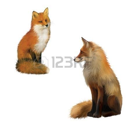 fox side view | Fox illustration, Fox pictures, Fox drawing