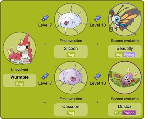 Number 2 wurmple evolution | My pokemon, Pokemon, Pokemon go