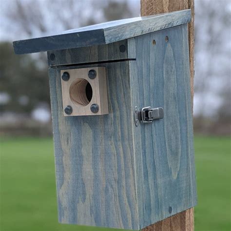 Bluebird and Tree Swallow Nesting Box Birdhouse - Etsy