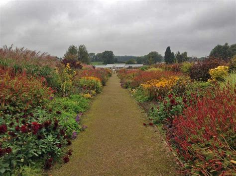 Photos: AGM 2017 – Helmsley Walled Garden | PGG