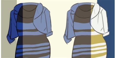 How Brain Science Explains the Way We See #TheDress | HuffPost