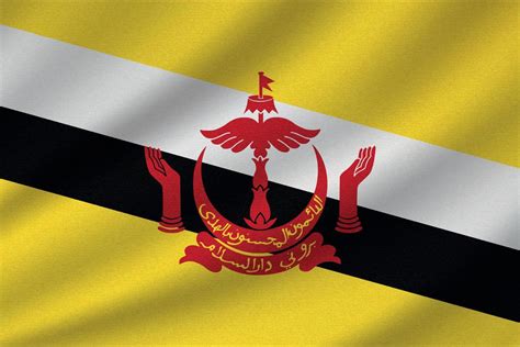 national flag of Brunei 11159243 Vector Art at Vecteezy