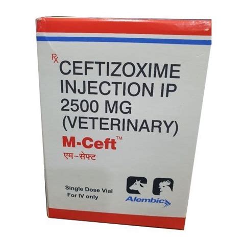 Liquid Ceftizoxime Injection at Best Price in Surat, Gujarat | Saintroy Lifescience