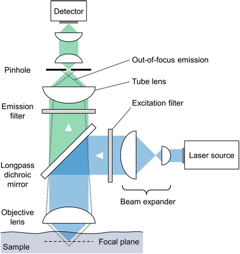 Confocal Microscopy Diagram