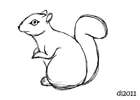 Squirrel Drawing Easy | Free download on ClipArtMag