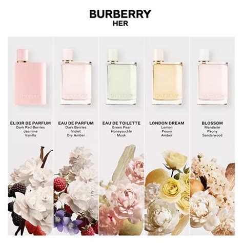 The Ultimate Guide To The Burberry Her Perfume Range | SOKI LONDON ...