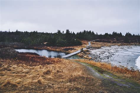 Walk Along Crystal Crescent Beach on Behance