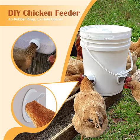 DIY Chicken Feeder - Fetchin' Fluff