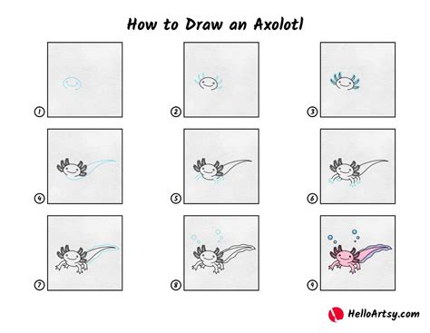 How to Draw an Axolotl - HelloArtsy