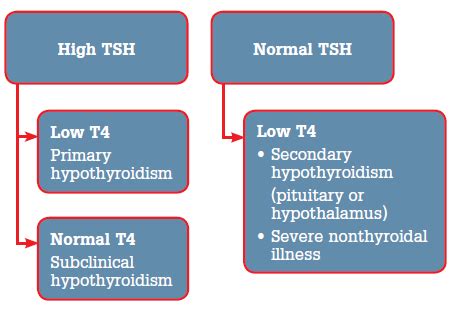 RACGP - Hypothyroidism - Investigation and management