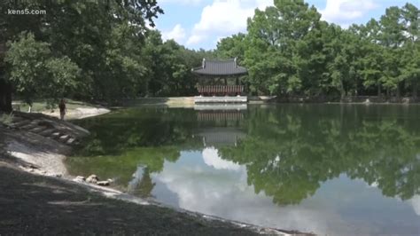 Wildlife relocated during pond repair at Denman Estate Park | kens5.com