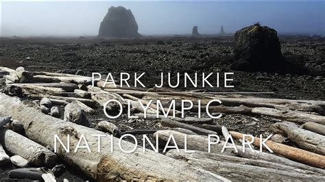 Olympic National Park - Hiking in Olympic - YouTube