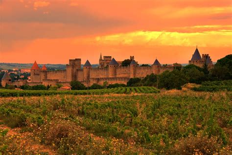 Languedoc-Roussillon Wine Package (Corbières) from £350pp – Wine Tasting France