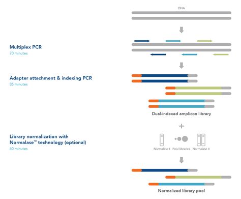 Targeted NGS Amplicon Sequencing | IDT