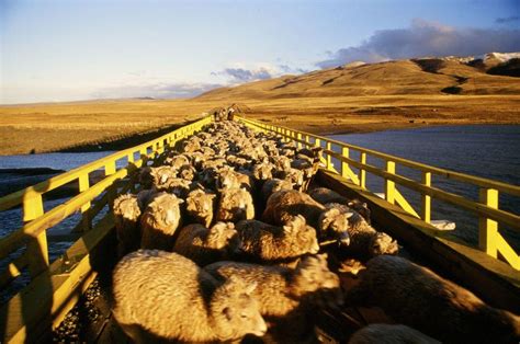 Southern Chilean Patagonia Photo Gallery | Fodor's Travel