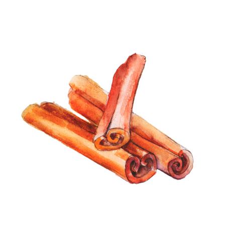 Royalty Free Cinnamon Clip Art, Vector Images & Illustrations - iStock