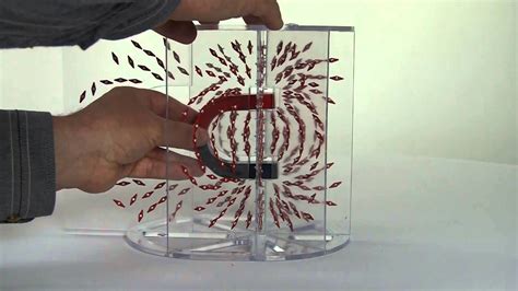 3D Magnetic Field Demonstrations | Horseshoe magnet, Magnetic field ...