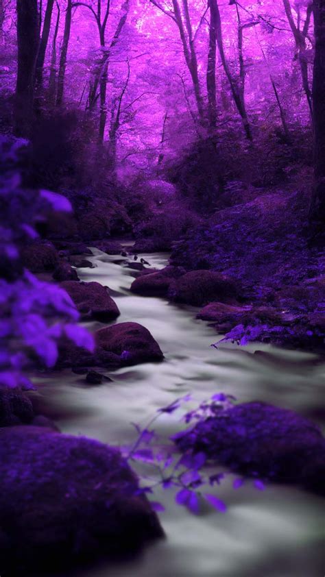 Purple Forest iPhone Wallpaper HD » iPhone Wallpapers | Black and purple wallpaper, Purple ...