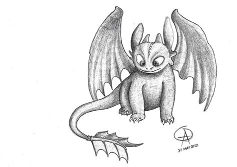 Night Fury Dragon Drawings