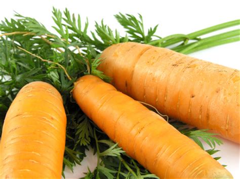 Foods That Contain Beta-Carotene | LIVESTRONG.COM