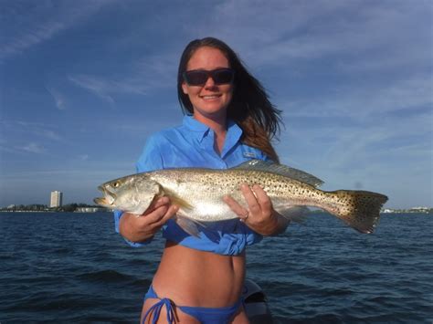 Speckled Trout Fishing on Siesta Key – Fishing with Capt Jim