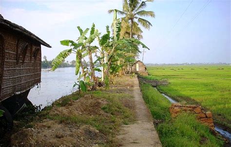 A few interesting facts about Kuttanad – The land of backwaters and paddy fields – My Words ...