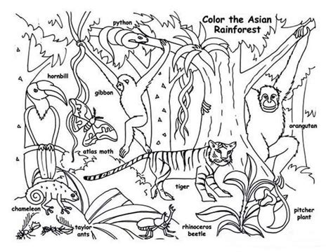 rainforest coloring pages printable, this pic you could find at Plants Coloring Pages blogs # ...
