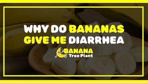 why do bananas give me diarrhea - YouTube