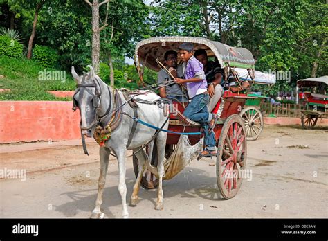 Indian horse and cart hi-res stock photography and images - Alamy