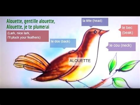 Alouette - French Lyrics with English Translation - YouTube