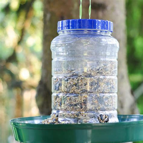 14 Easy DIY Winter Bird Feeders — The Family Handyman