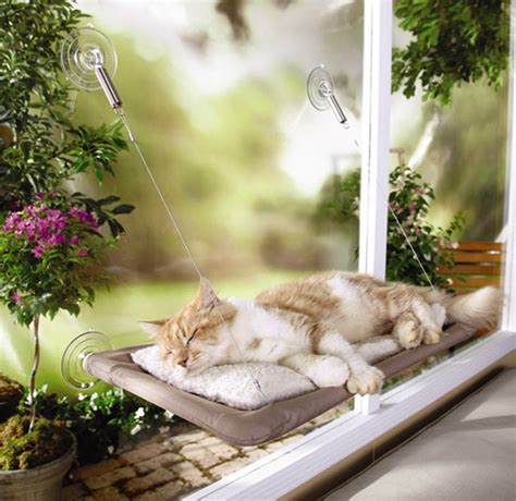 Sunny Seat Window-Mounted Cat Bed , New, Free Shipping | eBay