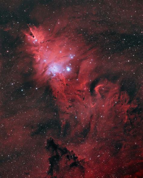 The Cone Nebula | Pictures, Location, and Nearby Objects