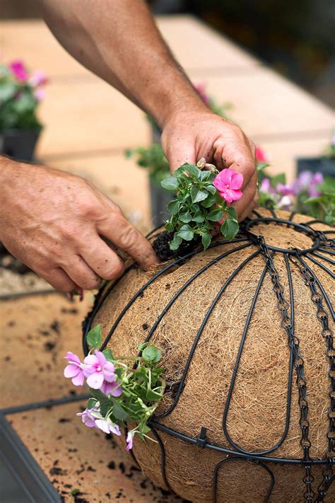 Create a Stunning Spherical Hanging Basket in Just 20 Minutes—Here's How | Hanging flower pots ...