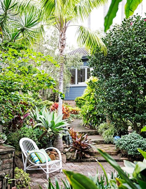 How a subtropical planting gave this garden a lush oasis feel | Coastal gardens, Jungle gardens ...