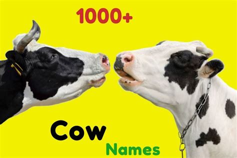 { 1000+ } Cow Names » Top Most Disney, Cartoon & Funny Cow Names