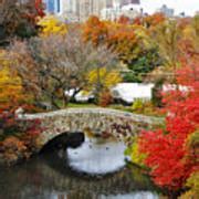 Fall Foliage in Central Park Photograph by Nishanth Gopinathan