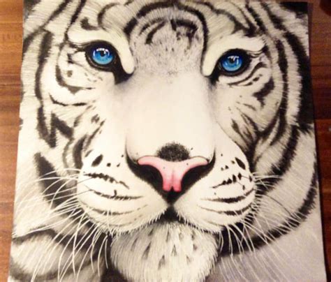 White tiger drawing by Miriam Galassi | No. 324