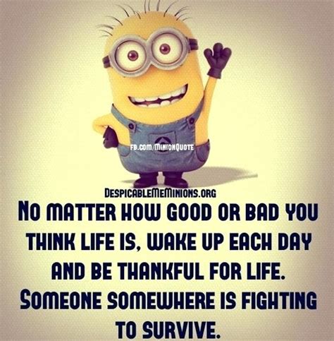 September Quotes Funny | Funny minion quotes, September quotes, Funny ...