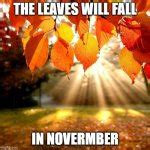 Fall leaves Meme Generator - Imgflip