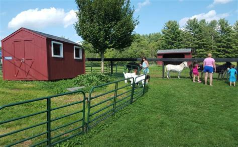 This Charming New Hampshire Farm Has Ice Cream And A Petting Zoo | Farm ...